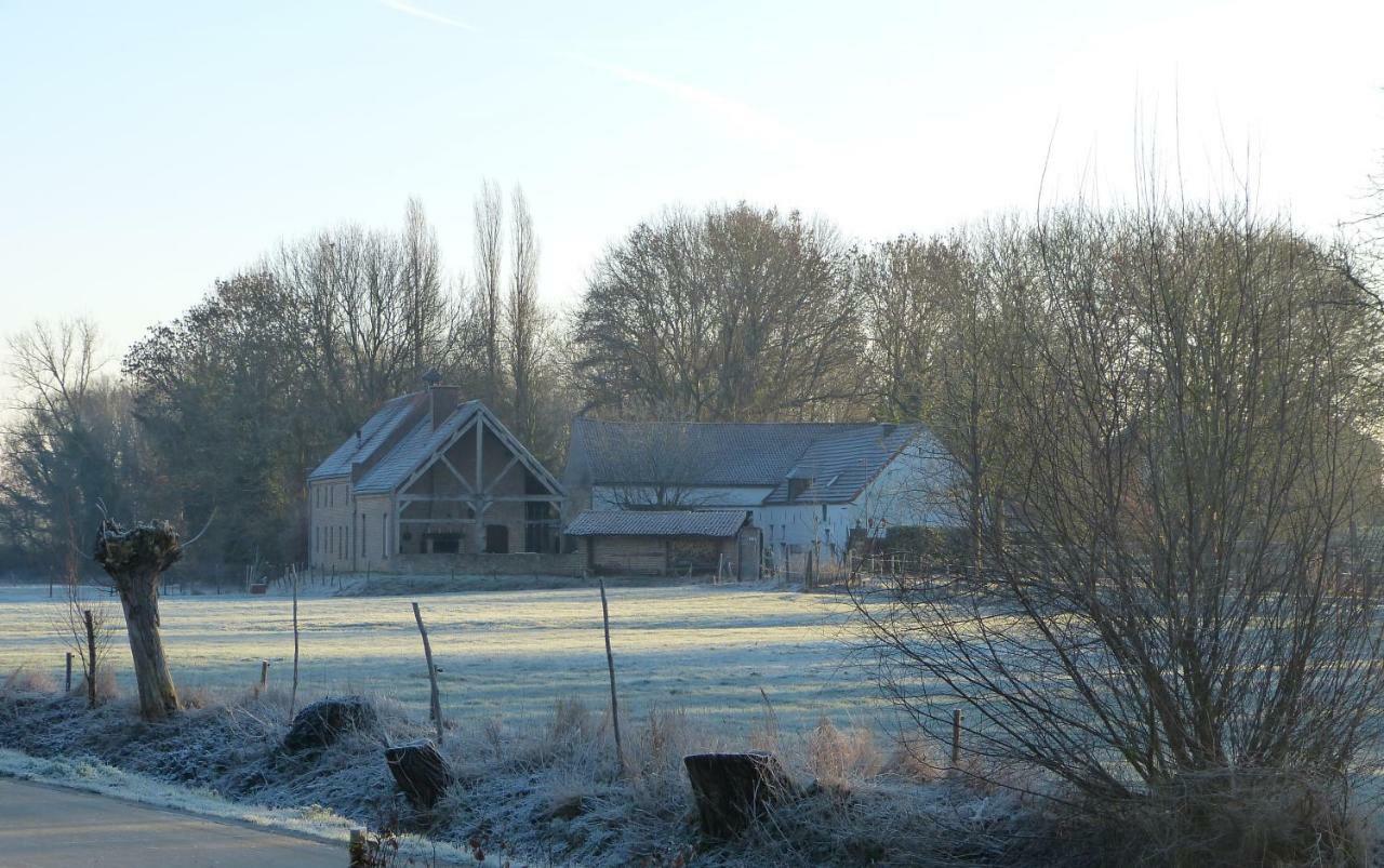 Velpe 55 Villa Bierbeek ภายนอก รูปภาพ